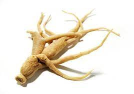 Read more about the article 7 Proven Health Benefits of Ginseng