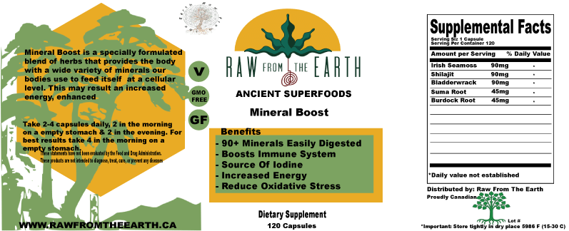 Mineral Boost | Sea Moss, Shilajit, Suma Root, Bladderwrack | - Image 2